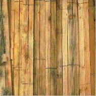 Coir Fiber