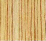 Coir Fiber