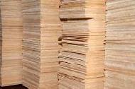 Coir Fiber