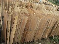 Coir Fiber