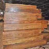Coir Fiber