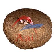 Coir Fiber