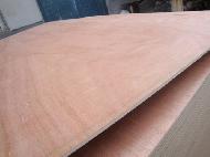 Coir Fiber