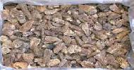Coir Fiber