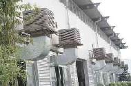 Coir Fiber