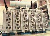 Coir Fiber