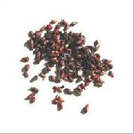 Coir Fiber