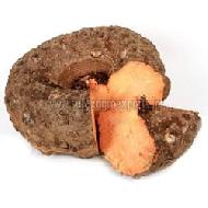 Coir Fiber