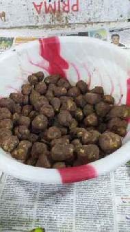 Coir Fiber