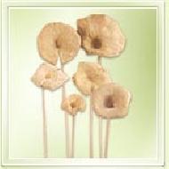Coir Fiber