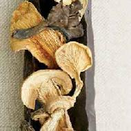 Coir Fiber