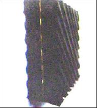 Coir Fiber