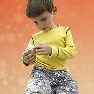 Coir Fiber