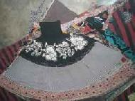 Coir Fiber
