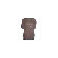 Coir Fiber