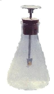 Gold Leaf Electroscope
