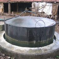 Coir Fiber