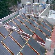 Coir Fiber