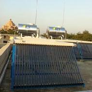 Coir Fiber