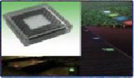 Coir Fiber