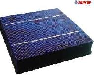 Coir Fiber