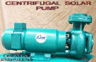 Coir Fiber