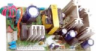 Coir Fiber