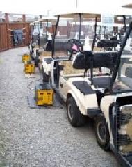 Coir Fiber