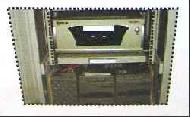 Coir Fiber