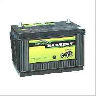 Coir Fiber