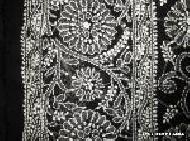 Coir Fiber