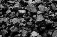 Coir Fiber