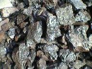 Coir Fiber