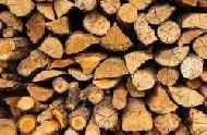 Coir Fiber