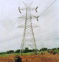 Coir Fiber