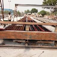 Coir Fiber