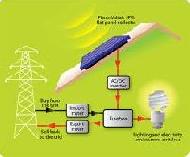 Coir Fiber