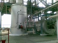 Coir Fiber
