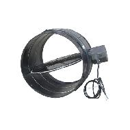 Coir Fiber