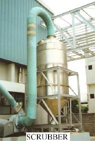 Coir Fiber