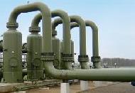 Coir Fiber