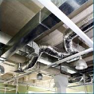 Coir Fiber