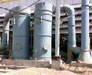 Coir Fiber