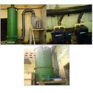 Coir Fiber