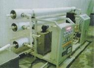 Coir Fiber