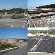 Coir Fiber
