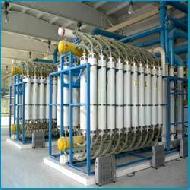 Coir Fiber