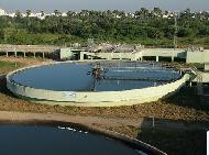 Coir Fiber