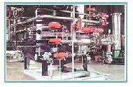 Coir Fiber