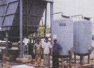 Coir Fiber